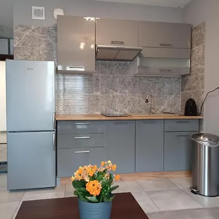 Apartment Centrum Z Parkingiem *